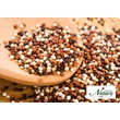 Tricolor quinoa