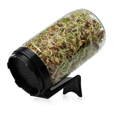 Csíráztató üvegedény - antracit szürke