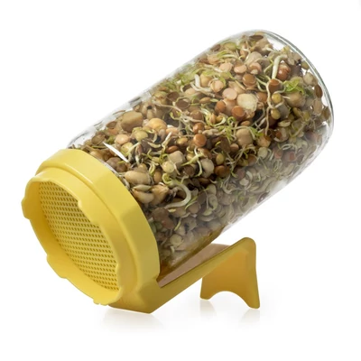 Csíráztató üvegedény - sárga