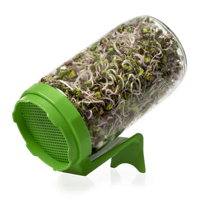 Csíráztató üvegedény - zöld